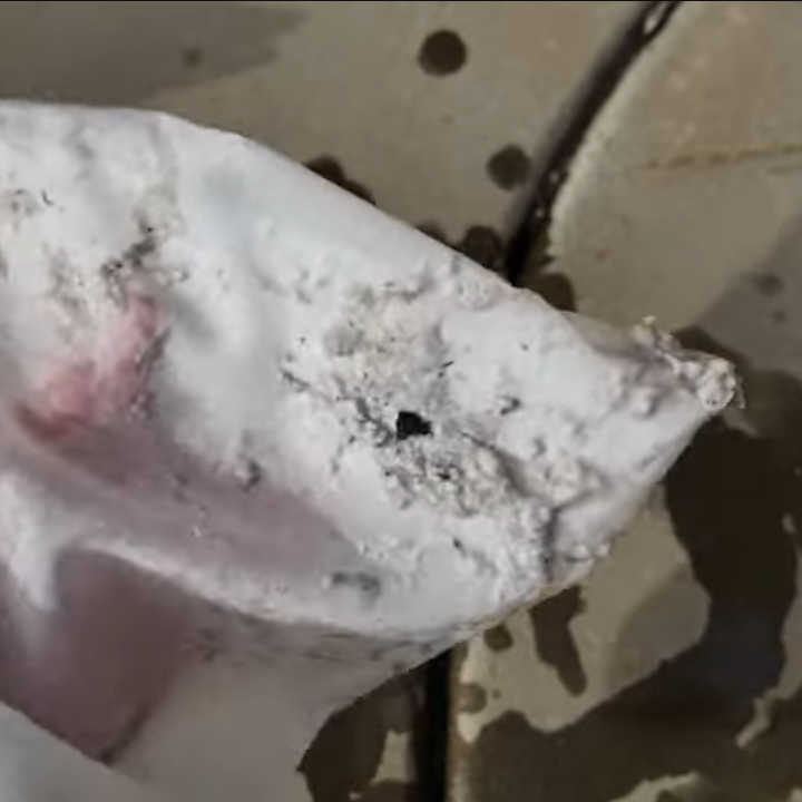 Close-up of Clear Pool 45 Micron Micro Bag filled with fine debris and gunk collected from pool floor