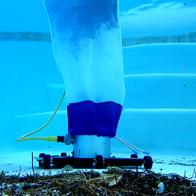 Clear Pool Standard bags